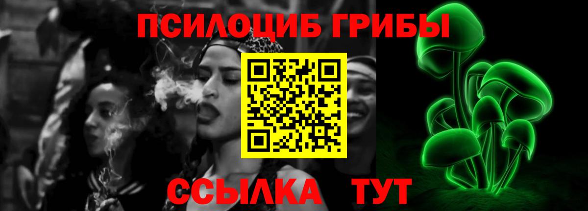 Батайск  как найти наркотики  Вход с VPN  Галлюциногенные грибы GOLDEN TEACHER 